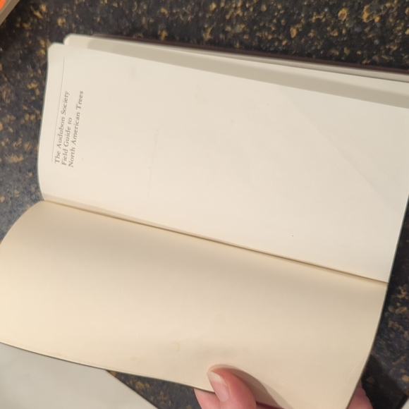 The Audubon Society Field Guide to North American Trees Eastern Region - Picture 3 of 7